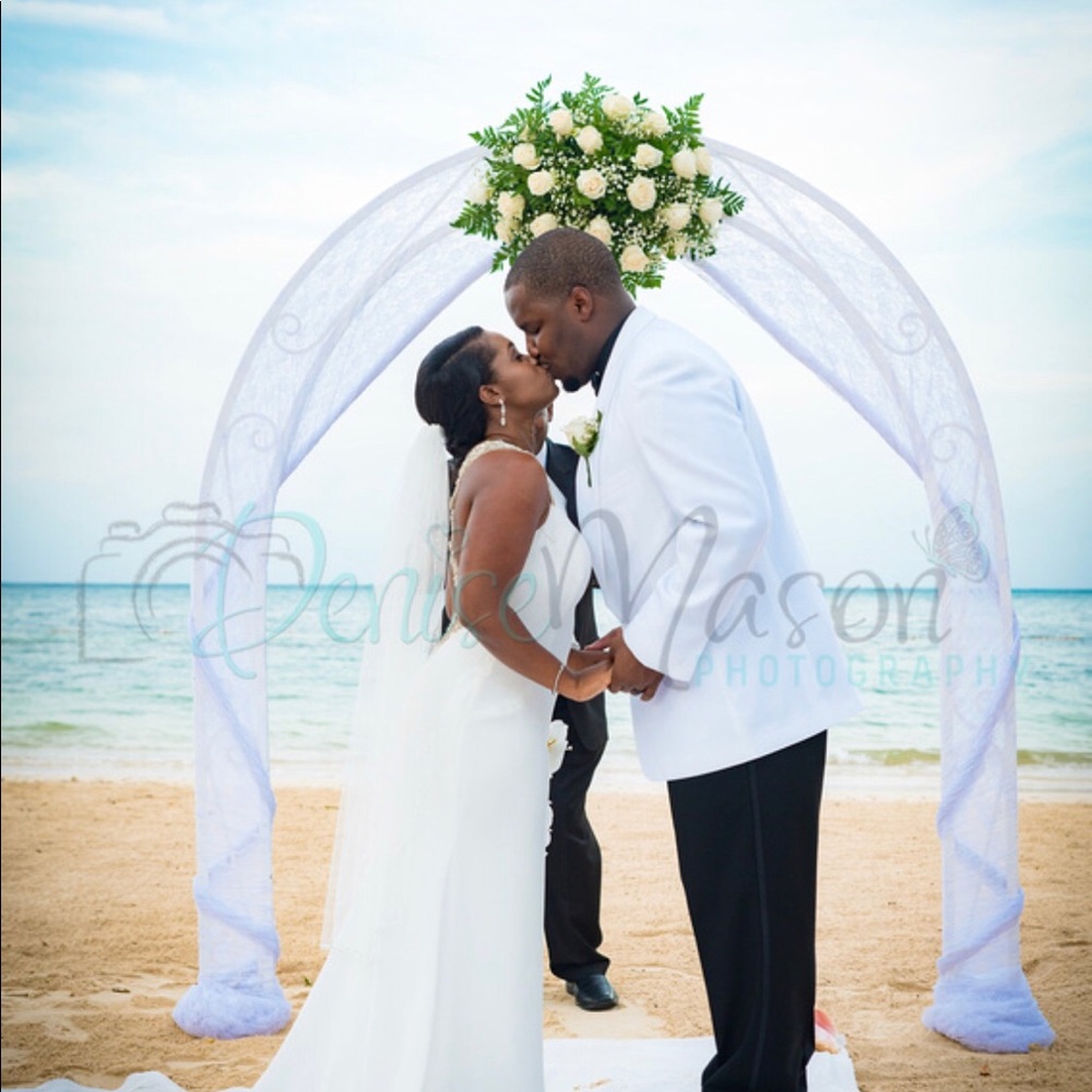 Pronovias - Emmett - Wedding Gown - Picture 4 of 6